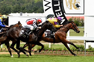 Leading Role (NZ) wins Group 2 Challenge Stakes. Race Images Palmerston North.